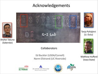 Acknowledgements

R-I Lab

Tanja	
  Pyhäjärvi	
  
(U.	
  Oulu)

Shohei	
  Takuno	
  
(Sokendai)	
  

Collaborators
Ed	
  Buckler	
  (USDA/Cornell)	
  
Norm	
  Ellstrand	
  (UC	
  Riverside)	
  

MaIhew	
  Huﬀord	
  
(Iowa	
  State)

 