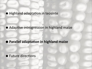 • Highland	
  adaptaRon	
  in	
  teosinte	
  
• AdapRve	
  introgression	
  in	
  highland	
  maize	
  
• Parallel	
  adapta-on	
  in	
  highland	
  maize	
  
• Future	
  direcRons

 