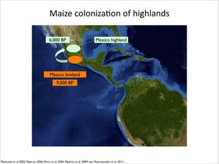 Maize	
  colonizaRon	
  of	
  highlands
6,000 BP

Mexico highland

Mexico lowland
9,000 BP

Matsuoka et al. 2002; Piperno 2006; Perry et al. 2006; Piperno et al. 2009; van Heerwaarden et al. 2011;

 