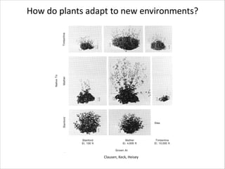 How	
  do	
  plants	
  adapt	
  to	
  new	
  environments?

Clausen,	
  Keck,	
  Heisey

 