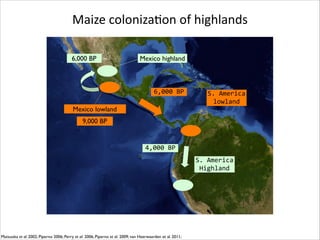 Maize	
  colonizaRon	
  of	
  highlands
6,000 BP

Mexico highland

6,000	
  BP
Mexico lowland

S.	
  America	
  
lowland

9,000 BP

4,000	
  BP
S.	
  America	
  
Highland

Matsuoka et al. 2002; Piperno 2006; Perry et al. 2006; Piperno et al. 2009; van Heerwaarden et al. 2011;

 