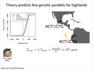 0.004

truth
2*s/var
cline location

0.002

ACTGCTG

0.000

prob of survival

0.006

Theory	
  predicts	
  few	
  geneRc	
  parallels	
  for	
  highlands

−1000

−500

0

500

1000

ACTGCTG
ACTCCTG

distance (km)

Tmut = 1/
Peter Ralph	

(USC)

Ralph and Coop 2010 Genetics

mut

=

2µ⇢Asb
⇠2

⇡ 104 gens

 
