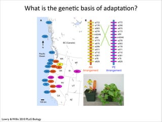 What	
  is	
  the	
  geneRc	
  basis	
  of	
  adaptaRon?

Lowry & Willis 2010 PLoS Biology

 