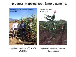 In	
  progress:	
  mapping	
  pops	
  &	
  more	
  genomes
M Hufford (ISU), R. Sawers (Langebio)	

Summer 2013

S. Flint-Garcia (MU)	

Winter 2012

MX x MX	

F2

SA x SA	

F2

Highland Landrace (PT) x B73
BC2 NILs

Highland x Lowland Landrace 	

F2 populations

 