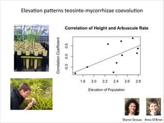 Correlation Coefﬁcient

ElevaRon	
  paIerns	
  teosinte-­‐mycorrhizae	
  coevoluRon

Sharon Strauss Anna O’Brien

 