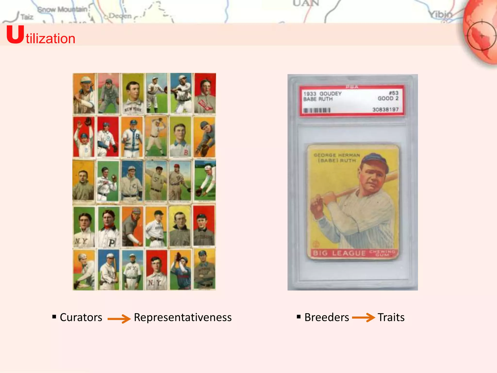 Utilization




        Curators   Representativeness    Breeders   Traits
 