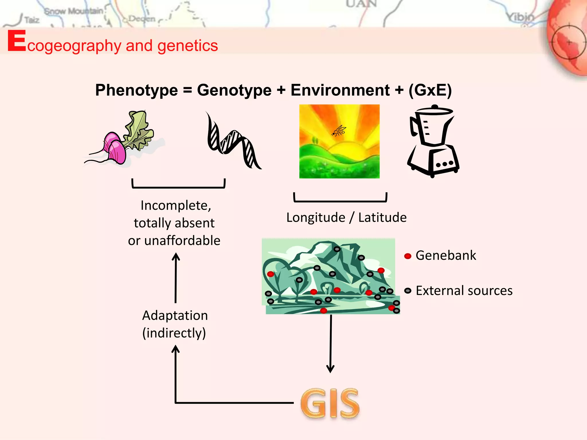 Ecogeography and genetics
          Phenotype = Genotype + Environment + (GxE)




                Incomplete,
               totally absent   Longitude / Latitude
              or unaffordable
                                                       Genebank

                                                       External sources
                Adaptation
                (indirectly)
 