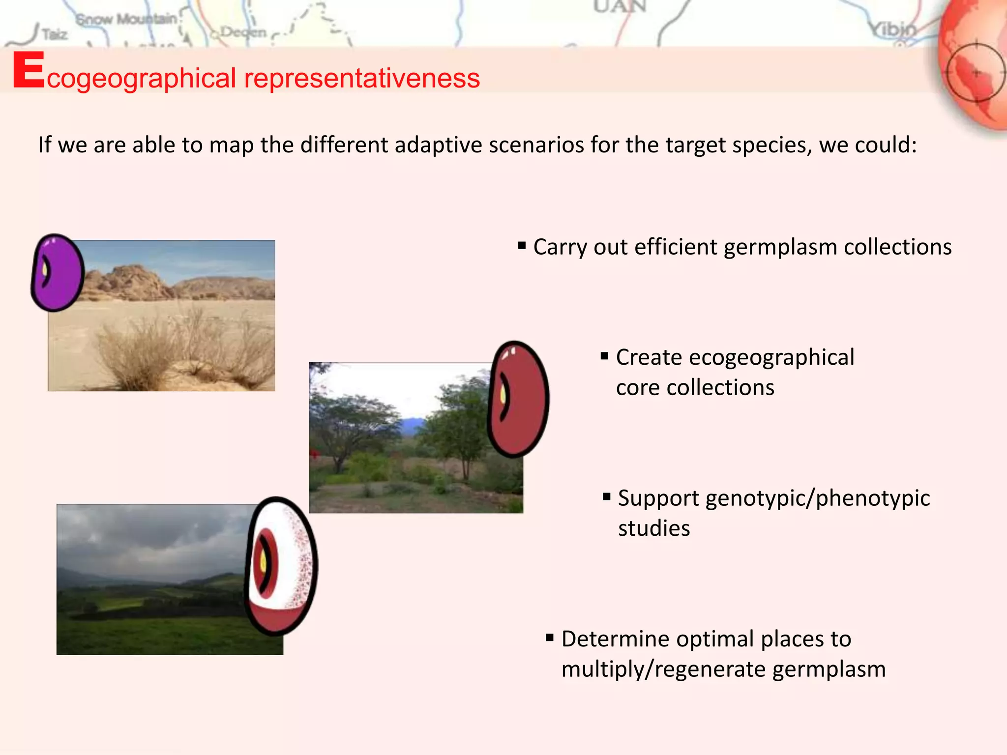 Ecogeographical representativeness
  If we are able to map the different adaptive scenarios for the target species, we could:



                                                  Carry out efficient germplasm collections



                                                           Create ecogeographical
                                                            core collections



                                                           Support genotypic/phenotypic
                                                            studies



                                                     Determine optimal places to
                                                      multiply/regenerate germplasm
 