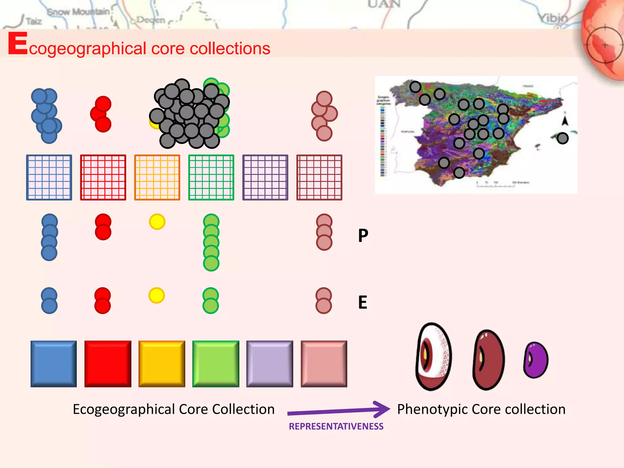 Ecogeographical core collections




                                                       P


                                                       E




        Ecogeographical Core Collection                        Phenotypic Core collection
                                          REPRESENTATIVENESS
 