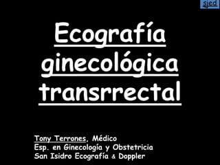 Ecografía
 ginecológica
 transrrectal
Tony Terrones, Médico
Esp. en Ginecología y Obstetricia
San Isidro Ecografía & Doppler
 
