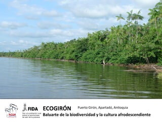 Inicia-va	
  seleccionada	
  convocatorias	
  ACUA	
  FIDA	
  

ECOGIRÓN	
  	
  

Puerto	
  Girón,	
  Apartadó,	
  An-oquia	
  

Baluarte	
  de	
  la	
  biodiversidad	
  y	
  la	
  cultura	
  afrodescendiente	
  

 