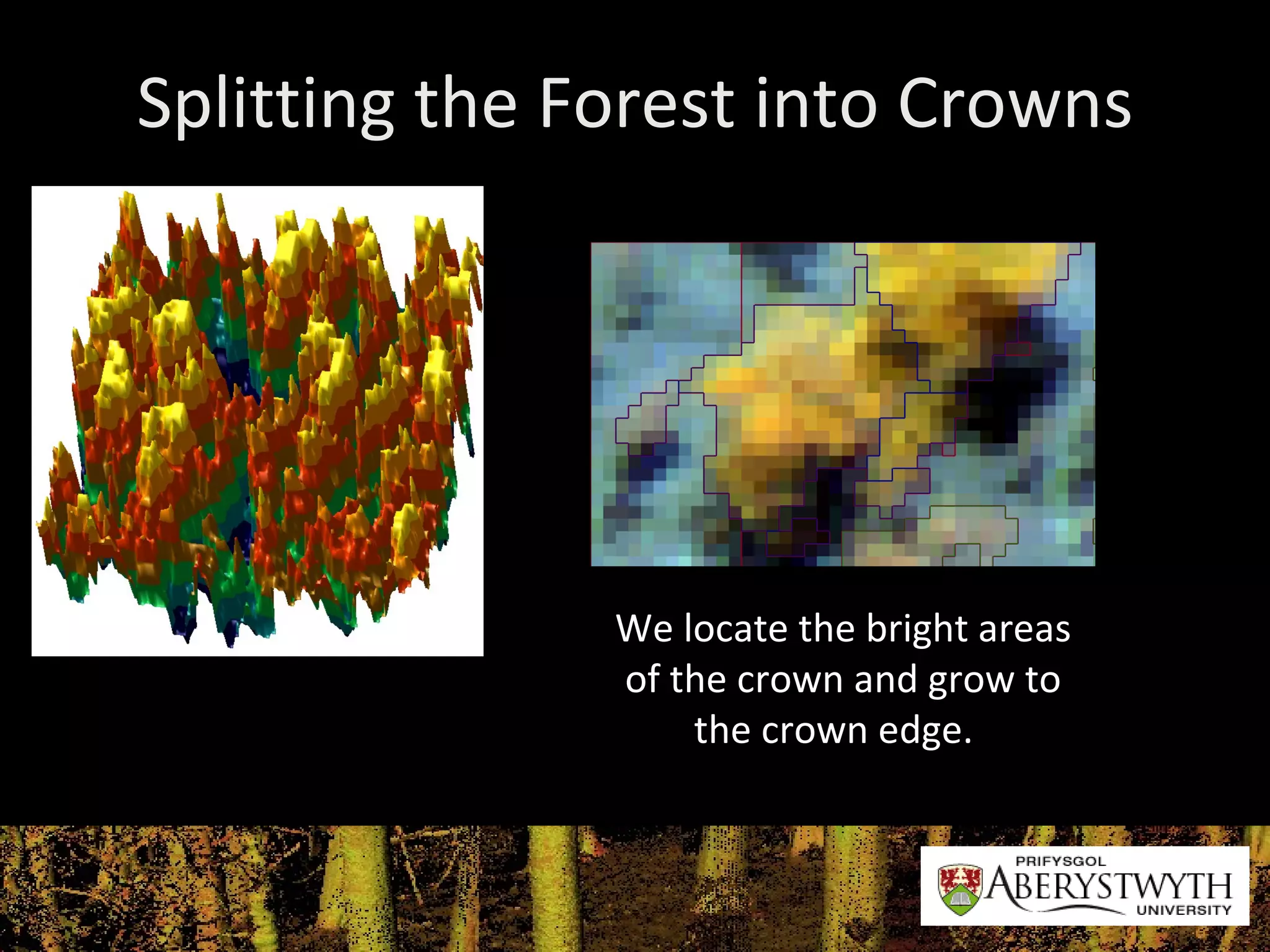 Splitting the Forest into Crowns We locate the bright areas of the crown and grow to the crown edge.  