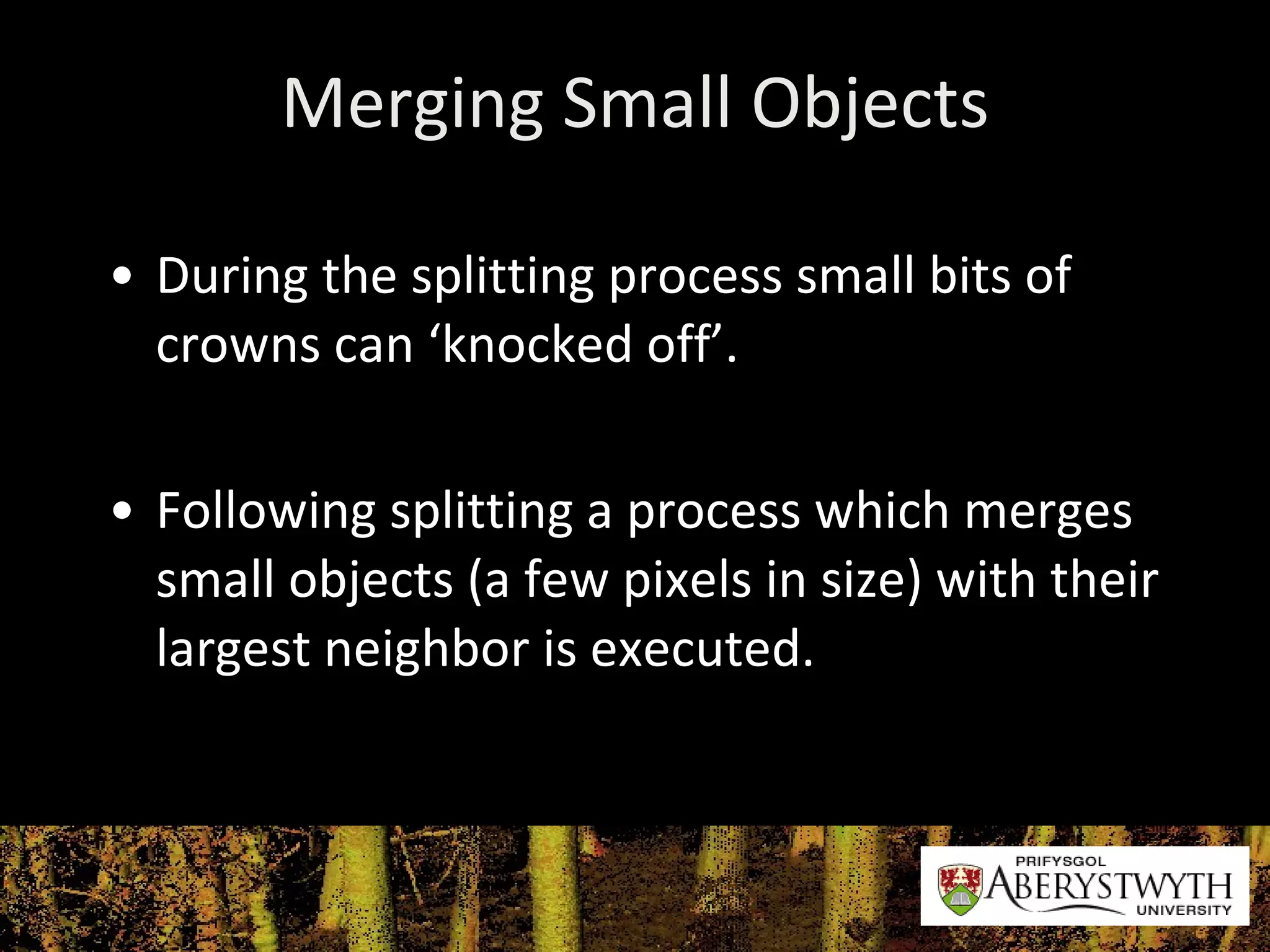 Merging Small Objects During the splitting process small bits of crowns can ‘knocked off’. Following splitting a process which merges small objects (a few pixels in size) with their largest neighbor is executed. 