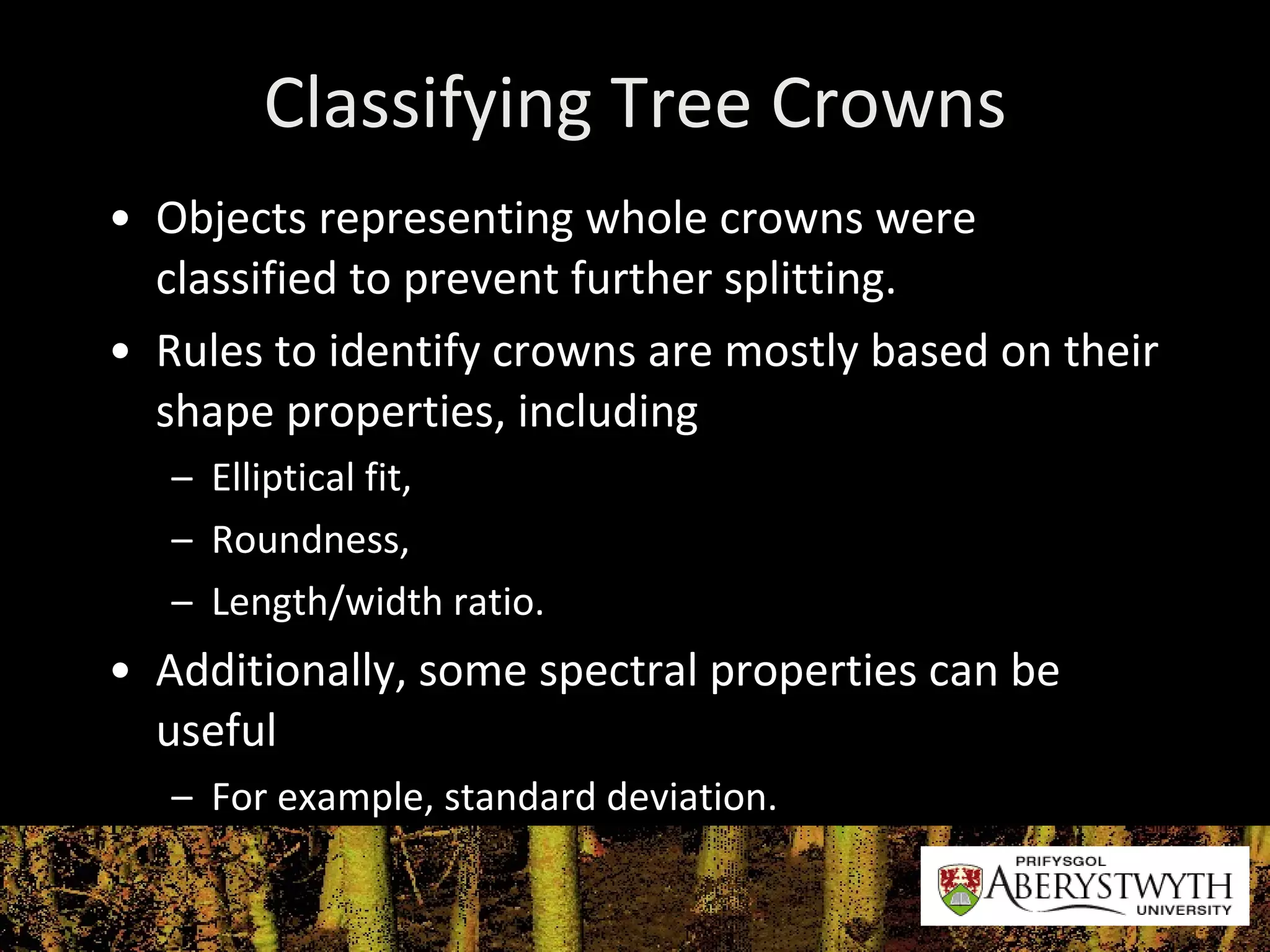 Classifying Tree Crowns Objects representing whole crowns were classified to prevent further splitting. Rules to identify crowns are mostly based on their shape properties, including Elliptical fit, Roundness, Length/width ratio. Additionally, some spectral properties can be useful For example, standard deviation. 
