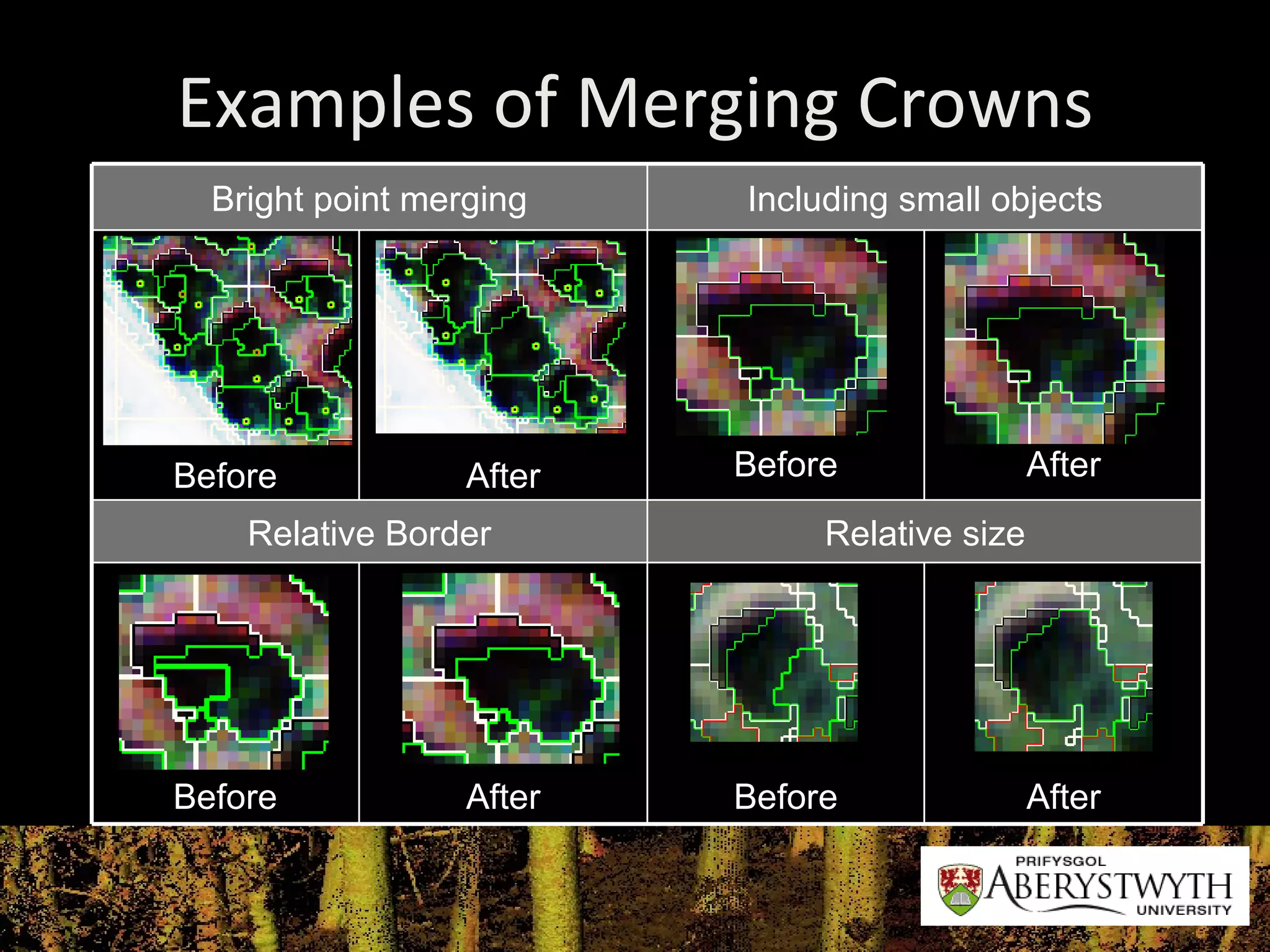 Examples of Merging Crowns Bright point merging Including small objects Before After Before After Relative Border Relative size Before After Before After 