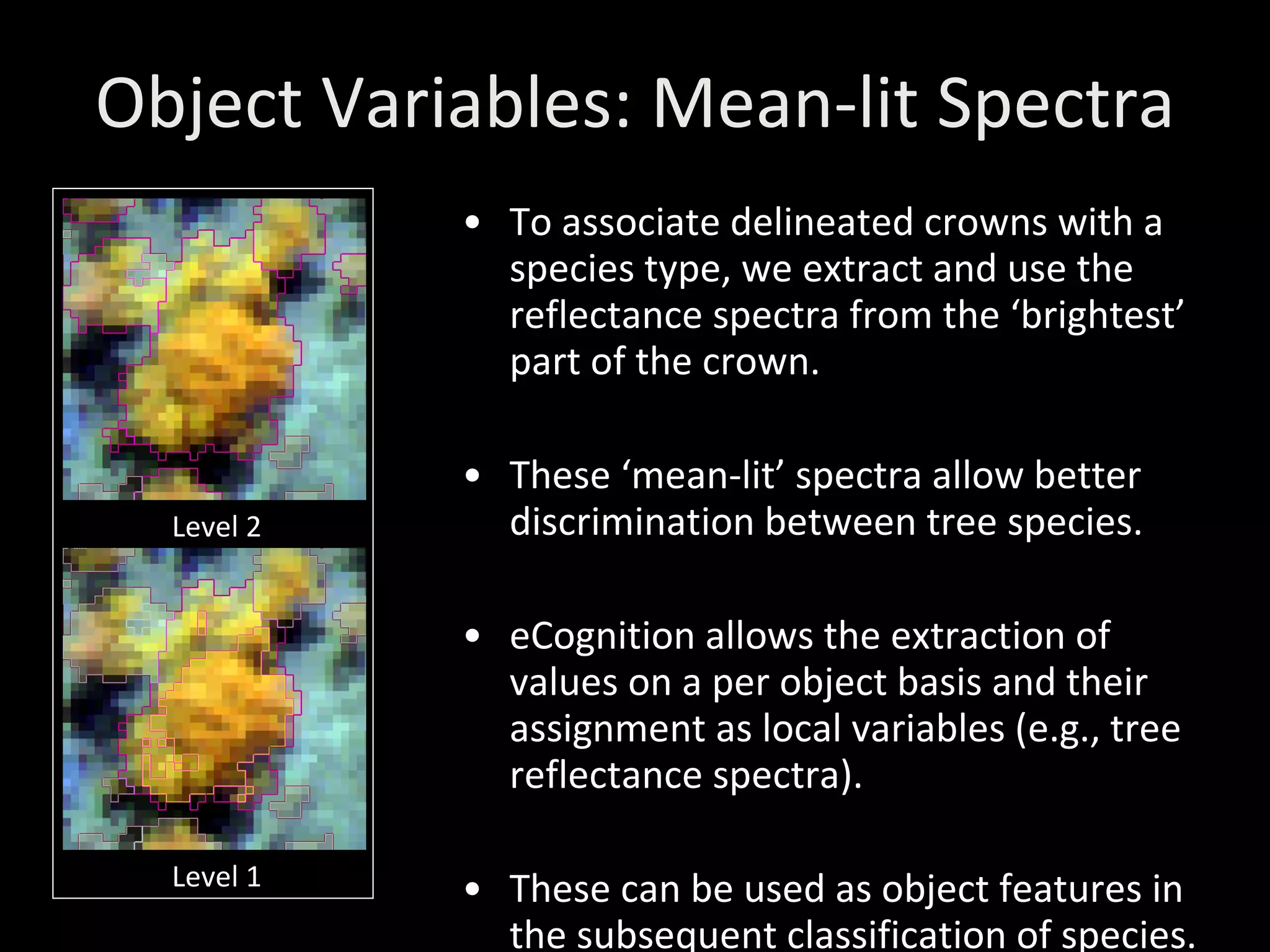 Object Variables: Mean-lit Spectra To associate delineated crowns with a species type, we extract and use the reflectance spectra from the ‘brightest’ part of the crown. These ‘mean-lit’ spectra allow better discrimination between tree species. eCognition allows the extraction of values on a per object basis and their assignment as local variables (e.g., tree reflectance spectra). These can be used as object features in the subsequent classification of species. Level 2 Level 1 
