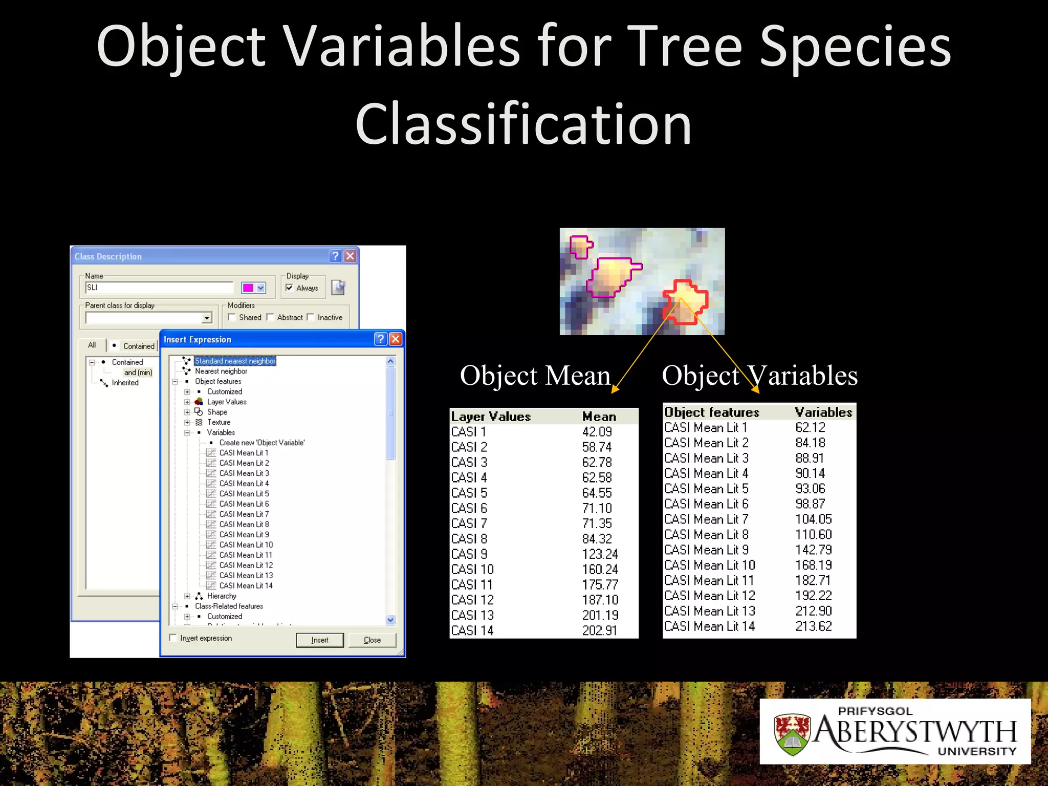 Object Variables for Tree Species Classification Object Mean Object Variables 