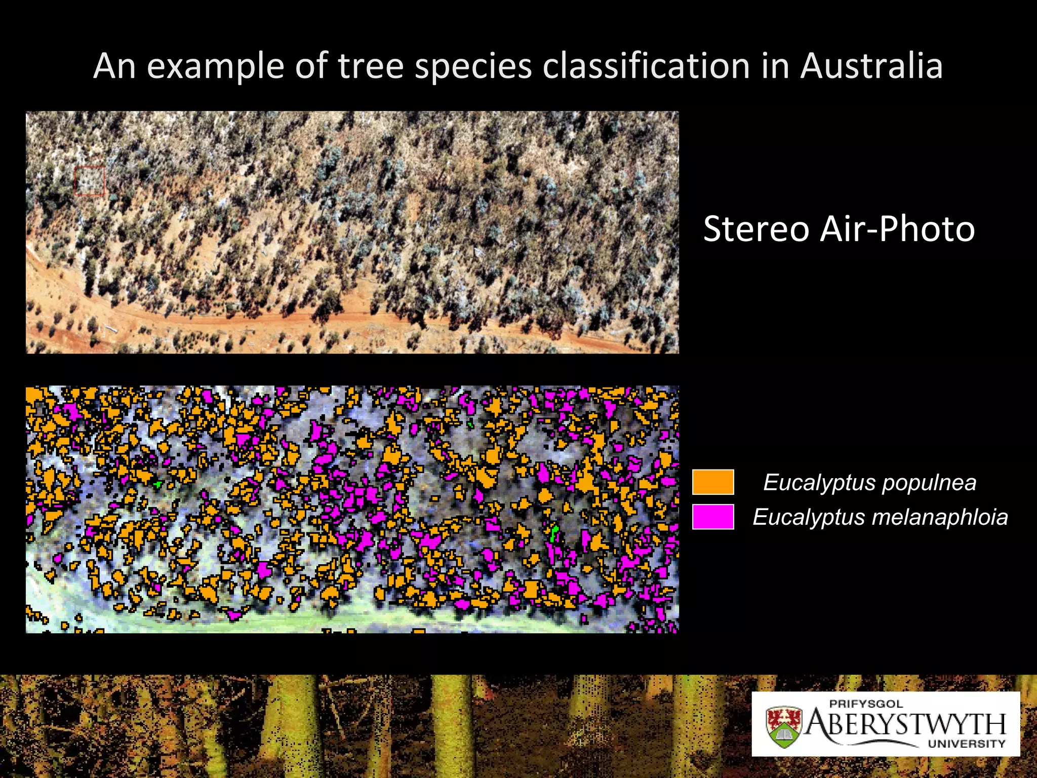 An example of tree species classification in Australia Stereo Air-Photo Eucalyptus populnea Eucalyptus melanaphloia 