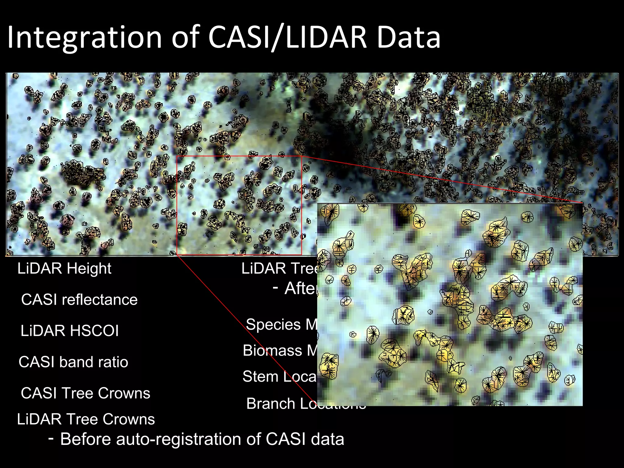 LiDAR Height CASI reflectance LiDAR HSCOI CASI band ratio CASI Tree Crowns LiDAR Tree Crowns  Before auto-registration of CASI data LiDAR Tree Crowns  After auto-registration of CASI data Species Map of crowns from CASI data Biomass Map Stem Locations Integration of CASI/LIDAR Data Branch Locations 