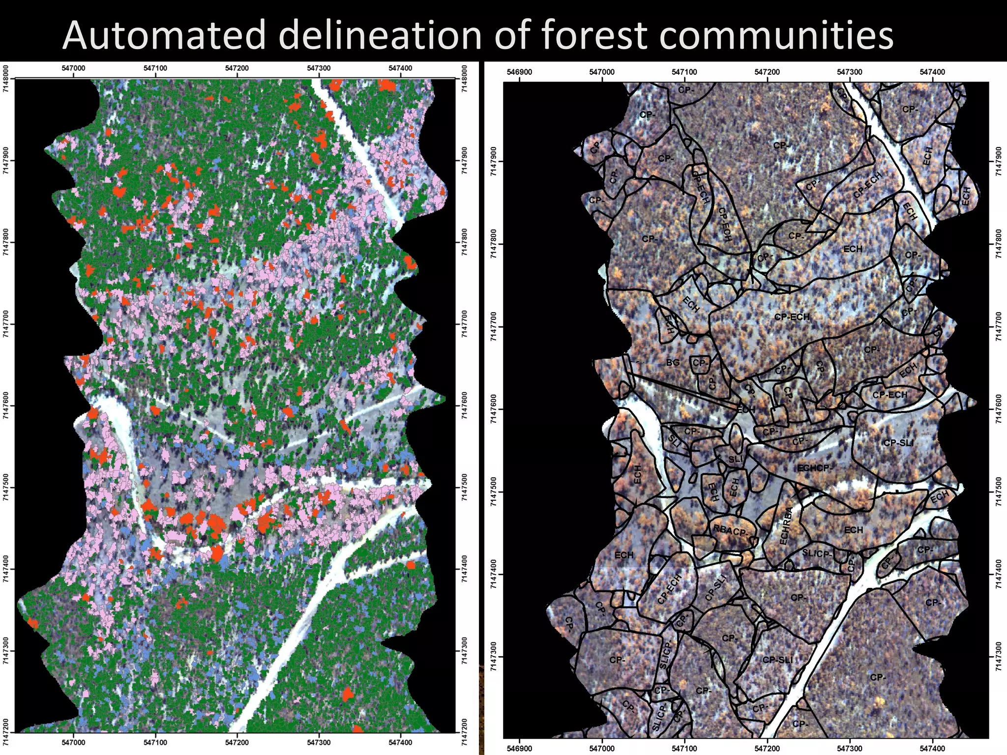 Automated delineation of forest communities 