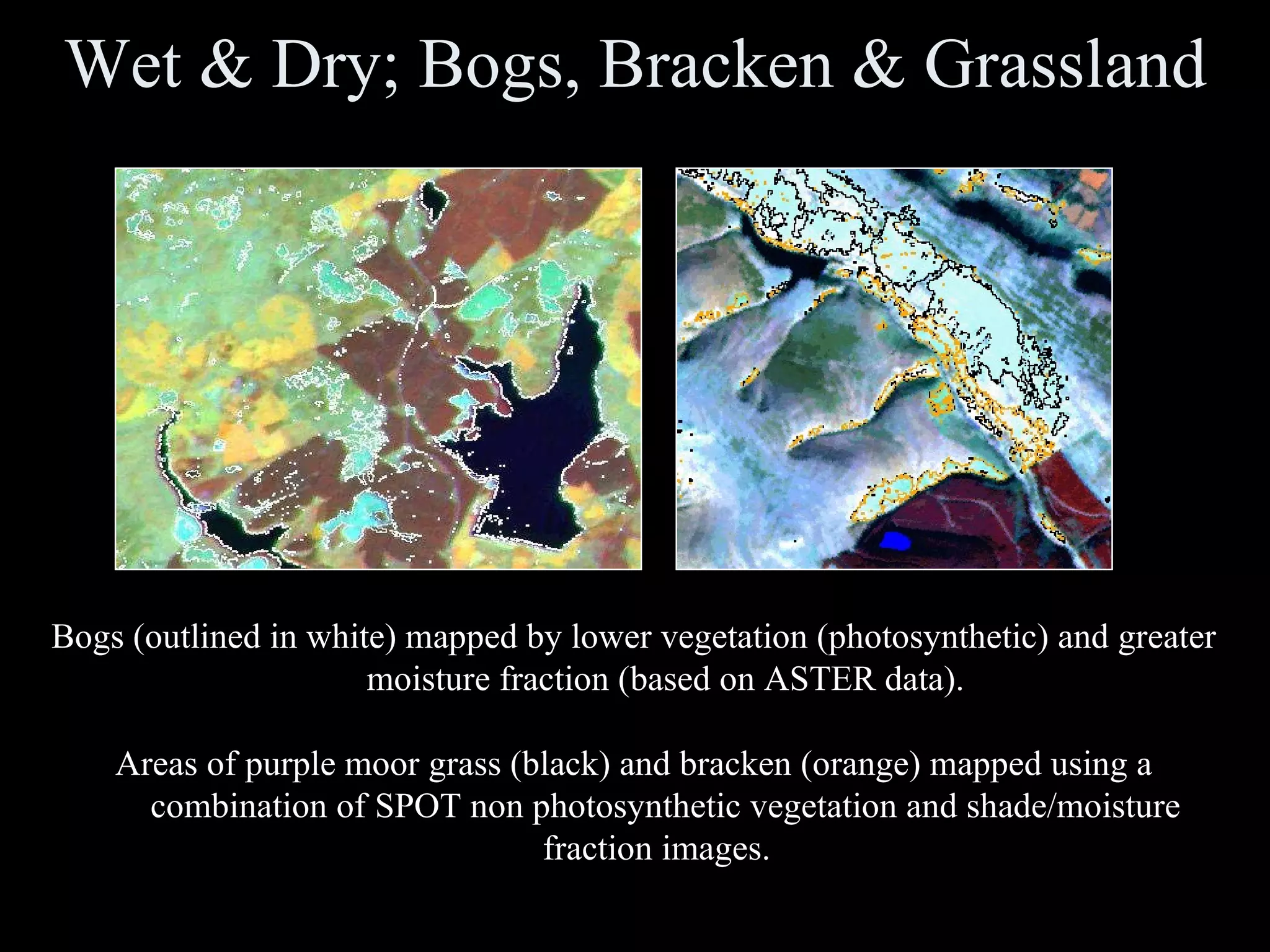 Wet & Dry; Bogs, Bracken & Grassland Bogs (outlined in white) mapped by lower vegetation (photosynthetic) and greater moisture fraction (based on ASTER data). Areas of purple moor grass (black) and bracken (orange) mapped using a combination of SPOT non photosynthetic vegetation and shade/moisture fraction images.  