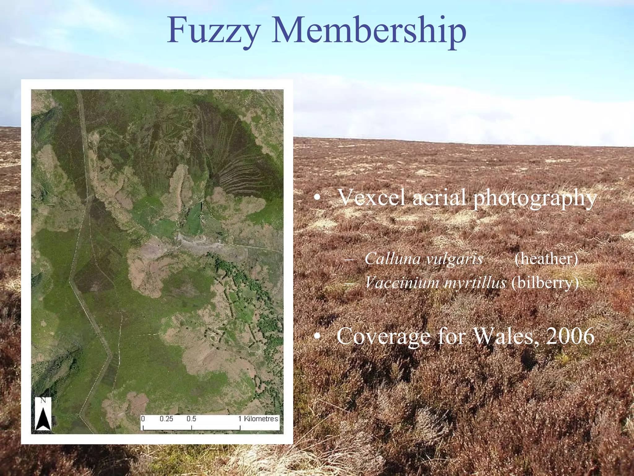 Fuzzy Membership Vexcel aerial photography Calluna vulgaris   (heather) Vaccinium myrtillus  (bilberry) Coverage for Wales, 2006 
