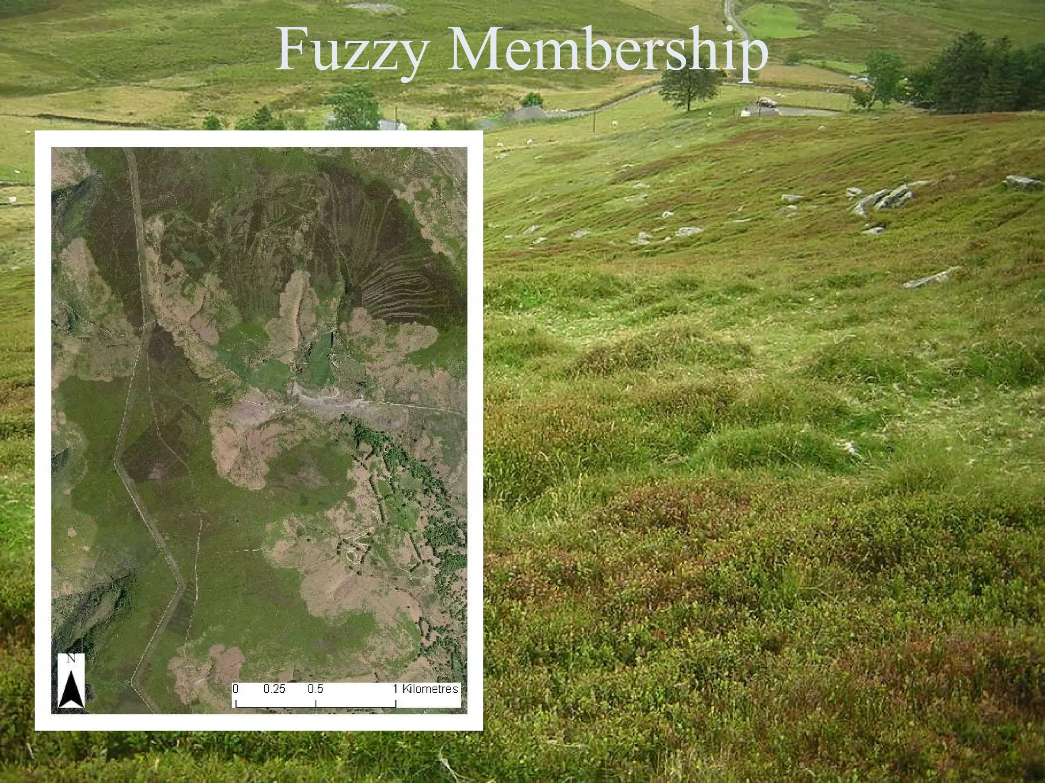 Fuzzy Membership 