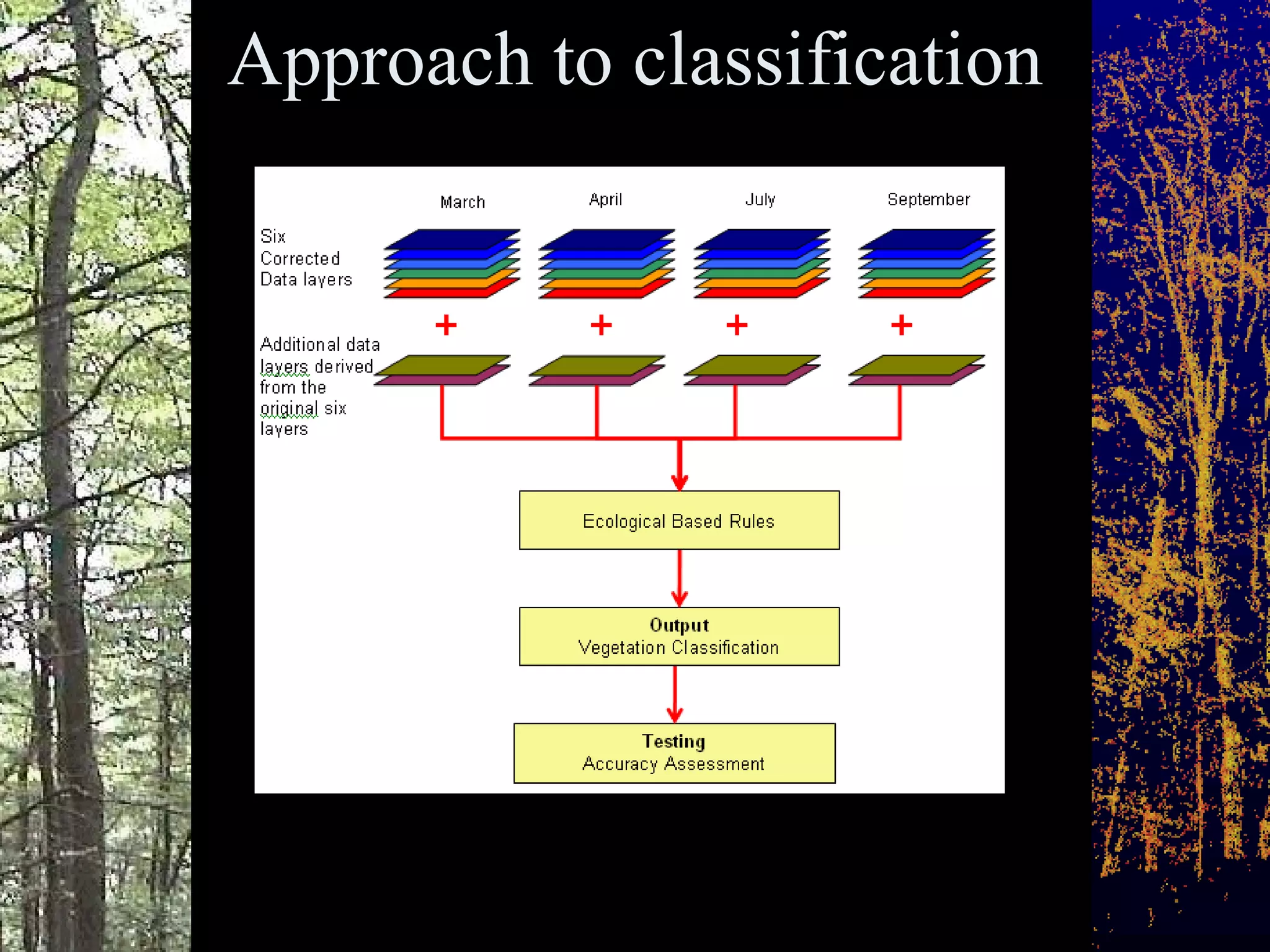 Approach to classification 
