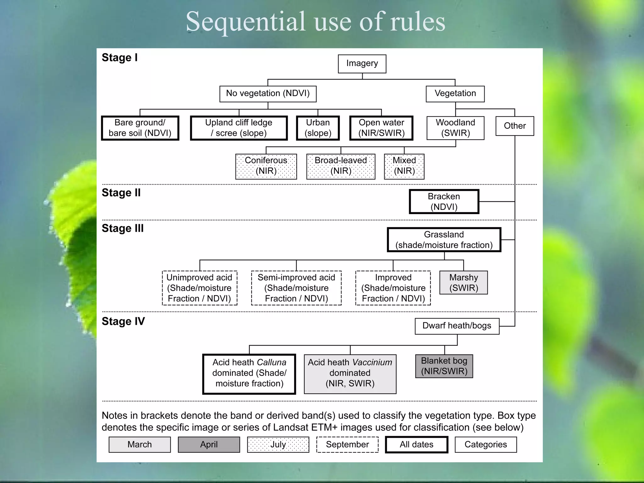 Sequential use of rules 