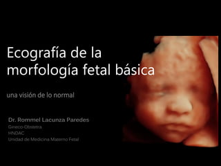 Dr. Rommel Lacunza Paredes
Gineco-Obstetra
HNDAC
Unidad de Medicina Materno Fetal
Ecografía de la
morfología fetal básica
una visión de lo normal
 