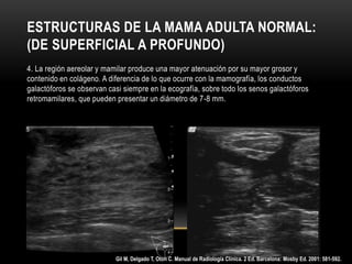 ESTRUCTURAS DE LA MAMA ADULTA NORMAL:
(DE SUPERFICIAL A PROFUNDO)
4. La región aereolar y mamilar produce una mayor atenuación por su mayor grosor y
contenido en colágeno. A diferencia de lo que ocurre con la mamografía, los conductos
galactóforos se observan casi siempre en la ecografía, sobre todo los senos galactóforos
retromamilares, que pueden presentar un diámetro de 7-8 mm.
Gil M, Delgado T, Oton C. Manual de Radiología Clínica. 2 Ed. Barcelona: Mosby Ed. 2001: 581-592.
 