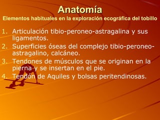AnatomíaAnatomía
Elementos habituales en la exploración ecográfica del tobillo
1. Articulación tibio-peroneo-astragalina y sus
ligamentos.
2. Superficies óseas del complejo tibio-peroneo-
astragalino, calcáneo.
3. Tendones de músculos que se originan en la
pierna y se insertan en el pie.
4. Tendón de Aquiles y bolsas peritendinosas.
 