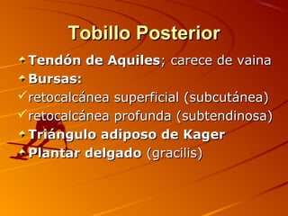 Tobillo PosteriorTobillo Posterior
Tendón de AquilesTendón de Aquiles; carece de vaina; carece de vaina
Bursas:Bursas:
retocalcánea superficial (subcutánea)retocalcánea superficial (subcutánea)
retocalcánea profunda (subtendinosa)retocalcánea profunda (subtendinosa)
Triángulo adiposo de KagerTriángulo adiposo de Kager
Plantar delgadoPlantar delgado (gracilis)(gracilis)
 
