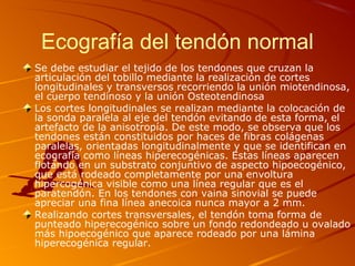 Ecografía del tendón normal
Se debe estudiar el tejido de los tendones que cruzan la
articulación del tobillo mediante la realización de cortes
longitudinales y transversos recorriendo la unión miotendinosa,
el cuerpo tendinoso y la unión Osteotendinosa
Los cortes longitudinales se realizan mediante la colocación de
la sonda paralela al eje del tendón evitando de esta forma, el
artefacto de la anisotropía. De este modo, se observa que los
tendones están constituidos por haces de fibras colágenas
paralelas, orientadas longitudinalmente y que se identifican en
ecografía como líneas hiperecogénicas. Estas líneas aparecen
flotando en un substrato conjuntivo de aspecto hipoecogénico,
que está rodeado completamente por una envoltura
hipercogénica visible como una línea regular que es el
paratendón. En los tendones con vaina sinovial se puede
apreciar una fina línea anecoica nunca mayor a 2 mm.
Realizando cortes transversales, el tendón toma forma de
punteado hiperecogénico sobre un fondo redondeado u ovalado
más hipoecogénico que aparece rodeado por una lámina
hiperecogénica regular.
 