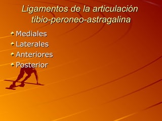 Ligamentos de la articulaciónLigamentos de la articulación
tibio-peroneo-astragalinatibio-peroneo-astragalina
MedialesMediales
LateralesLaterales
AnterioresAnteriores
PosteriorPosterior
 