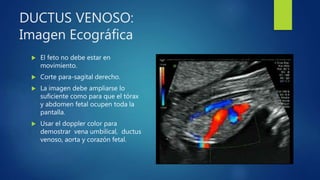 DUCTUS VENOSO:
Imagen Ecográfica
 El feto no debe estar en
movimiento.
 Corte para-sagital derecho.
 La imagen debe ampliarse lo
suficiente como para que el tórax
y abdomen fetal ocupen toda la
pantalla.
 Usar el doppler color para
demostrar vena umbilical, ductus
venoso, aorta y corazón fetal.
 