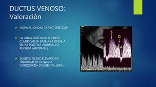DUCTUS VENOSO:
Valoración
 NORMAL: ONDAS CARACTERÍSTICAS
 LA ONDA OBTENIDA SE PUEDE
CLASIFICAR EN BASE A LA ONDA-A
ENTRE POSITIVA (NORMAL) O
REVERSA (ANORMAL).
 SUGIERE RIESGO ELEVADO DE
SÍNDROME DE DOWN O
CARDIOPATÍA CONGÉNITA. (65%)
 