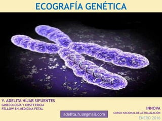 ECOGRAFÍA GENÉTICA
INNOVA
CURSO NACIONAL DE ACTUALIZACIÓN
ENERO 2016
adelita.h.s@gmail.com
Y. ADELITA HÍJAR SIFUENTES
GINECOLOGÍA Y OBSTETRICIA
FELLOW EN MEDICINA FETAL
 