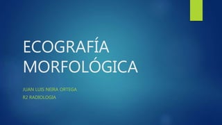 ECOGRAFÍA
MORFOLÓGICA
JUAN LUIS NEIRA ORTEGA
R2 RADIOLOGIA
 