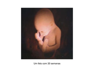 Um feto com 30 semanas 