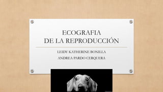 ECOGRAFIA
DE LA REPRODUCCIÓN
LEIDY KATHERINE BONILLA
ANDREA PARDO CERQUERA
 