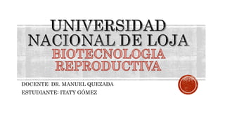 DOCENTE: DR. MANUEL QUEZADA
ESTUDIANTE: ITATY GÓMEZ
 