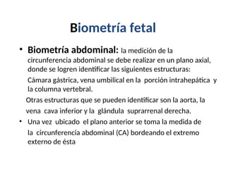 Biometría fetal
• Biometría abdominal: la medición de la
circunferencia abdominal se debe realizar en un plano axial,
donde se logren identificar las siguientes estructuras:
Cámara gástrica, vena umbilical en la porción intrahepática y
la columna vertebral.
Otras estructuras que se pueden identificar son la aorta, la
vena cava inferior y la glándula suprarrenal derecha.
• Una vez ubicado el plano anterior se toma la medida de
la circunferencia abdominal (CA) bordeando el extremo
externo de ésta
 