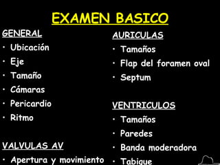 EXAMEN BASICO GENERAL Ubicación Eje Tamaño  Cámaras Pericardio Ritmo VALVULAS AV Apertura y movimiento Inserción AURICULAS Tamaños Flap del foramen oval Septum VENTRICULOS Tamaños Paredes Banda moderadora Tabique 