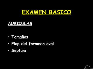 EXAMEN BASICO AURICULAS Tamaños Flap del foramen oval Septum  