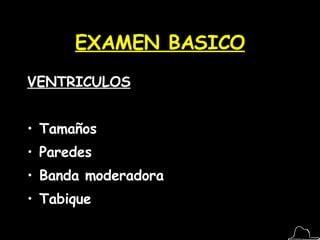EXAMEN BASICO VENTRICULOS Tamaños Paredes Banda moderadora Tabique 