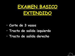 EXAMEN BASICO EXTENDIDO Corte de 3 vasos Tracto de salida izquierdo Tracto de salida derecho 