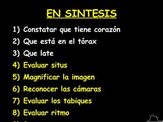 EN SINTESIS Constatar que tiene corazón Que está en el tórax Que late Evaluar situs Magnificar la imagen Reconocer las cámaras Evaluar los tabiques Evaluar ritmo 3 vasos 