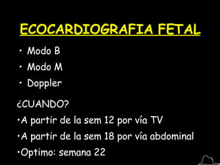 ECOCARDIOGRAFIA FETAL Modo B Modo M Doppler ¿CUANDO? A partir de la sem 12 por vía TV A partir de la sem 18 por vía abdominal Optimo: semana 22 