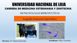 UNIVERSIDAD NACIONAL DE LOJA
CARRERA DE MEDICINA VETERINARIA Y ZOOTECNIA
BIOTECNOLOGIAS REPRODUCTIVAS
Ecografía-Evaluación Espermática
Docente: Dr. Manuel Quezada Estudiante: Mary González
 